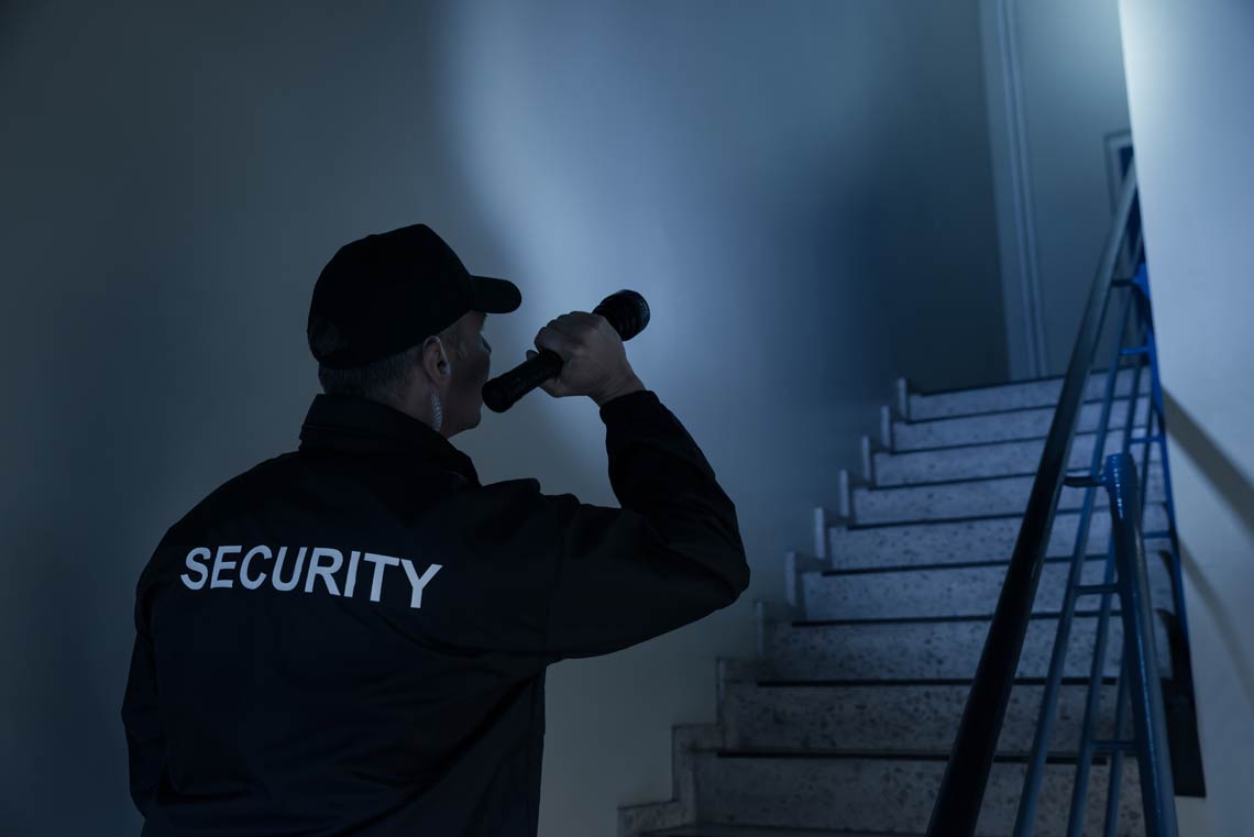 Security Services: Static / Manned Guards