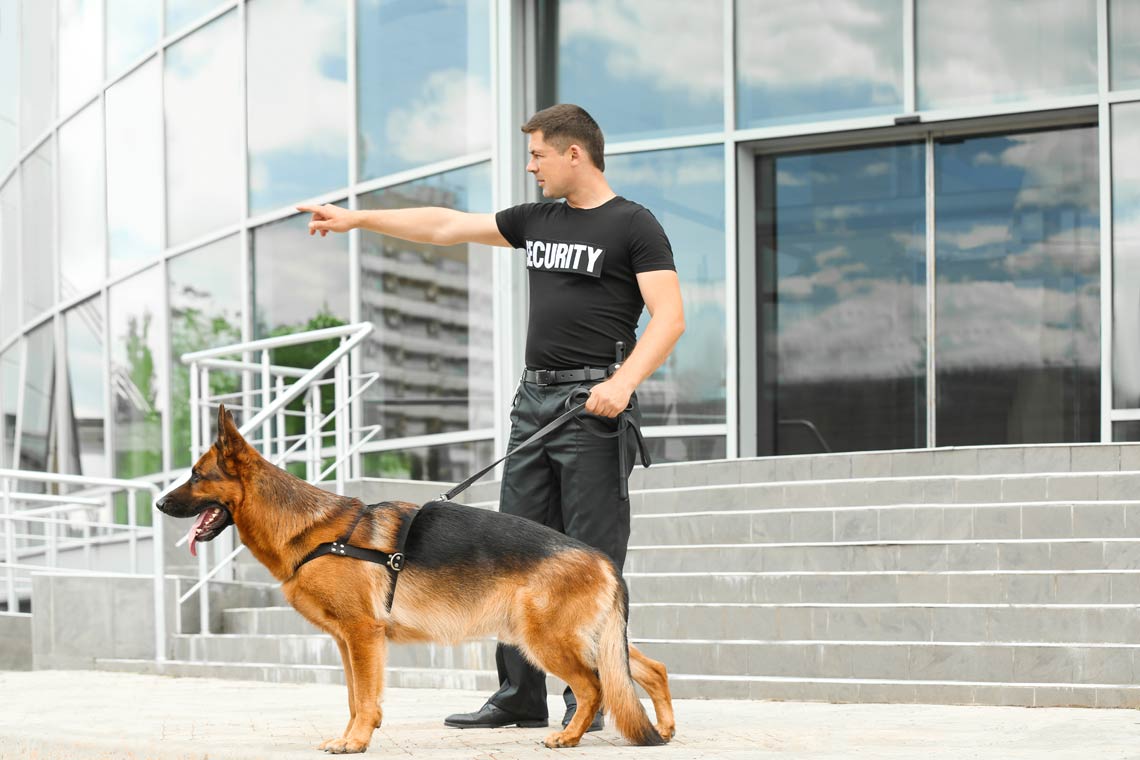 Security Services: Guard Dogs & Patrols